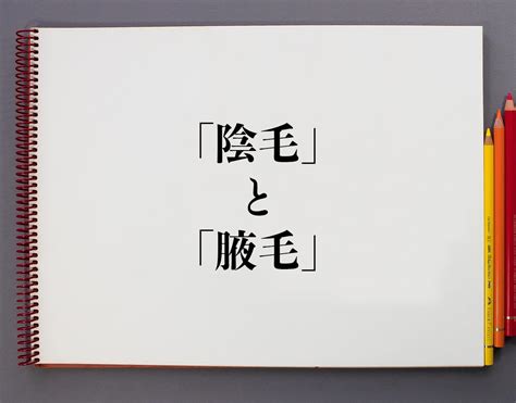 陰部多毛|腋毛、陰毛......身體這些毛該不該剃？醫師建議這麼做…